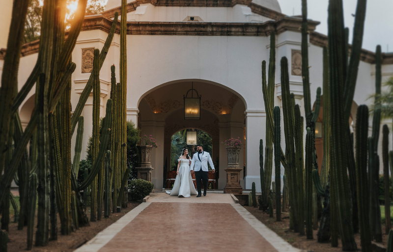 Novios entre los cactus de Hacienda El Centenario, Tequila, con luz dorada